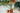 All Plants