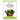 Good Dirt City Life Salad Bowl. A traditional mix of red and green lettuces. Drop and gro salad seeds.