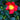 Yuletide Autumn Camellia