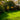 When to Plant Shrubs & Trees in the Southeast: A Season-by-Season Guide