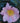 Cleopatra Camellia