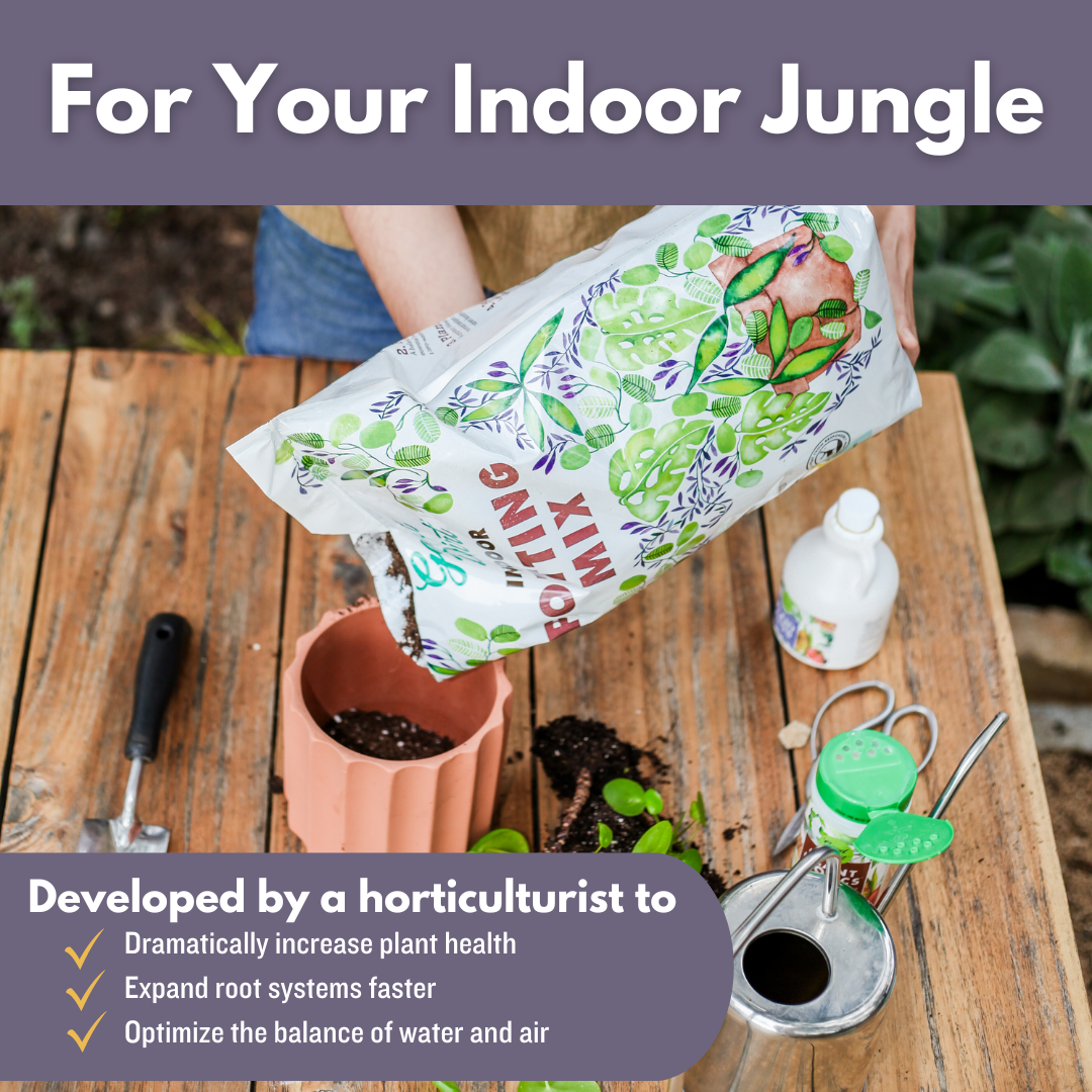 grow your own indoor plant kit Indoor Starter Kit – The Plant Firm