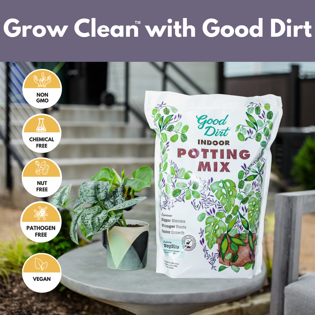 Indoor Potting Mix - 8 quarts