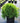 Globosa Nana Japanese Cedar