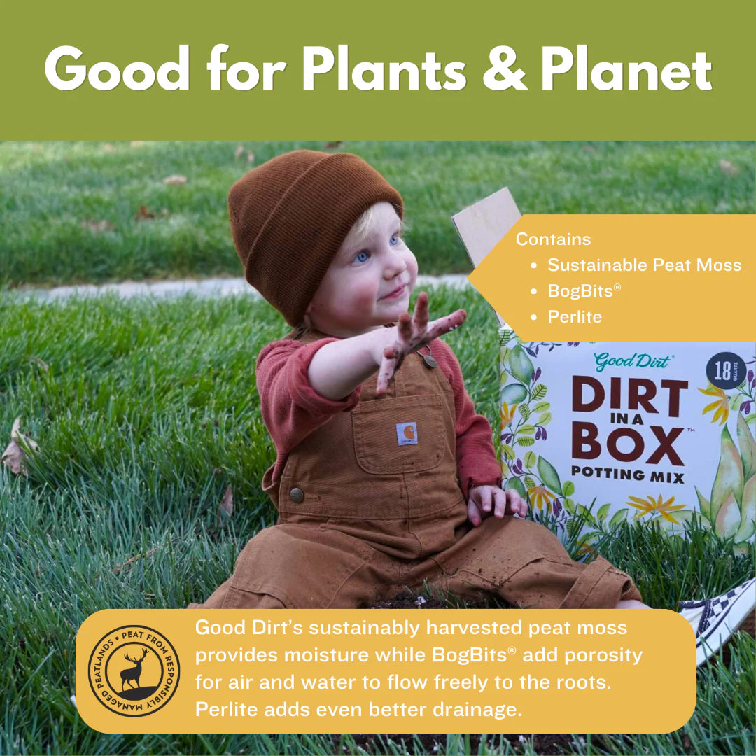 Good Dirt – Dirt in a Box (2 pack)