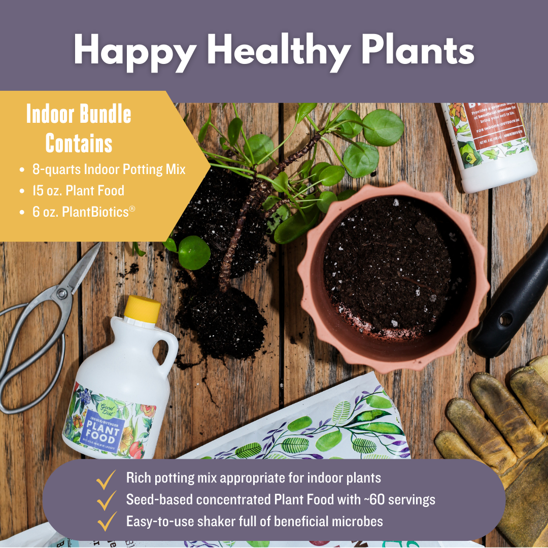 indoor plant starter kit Indoor Starter Kit – The Plant Firm