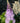 Pugster Amethyst® Butterfly Bush
