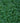 Dwarf Mondo Grass